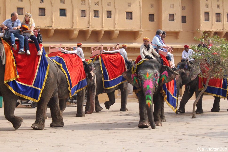 アンバー城まで乗れる象のタクシー(ジャイプール)