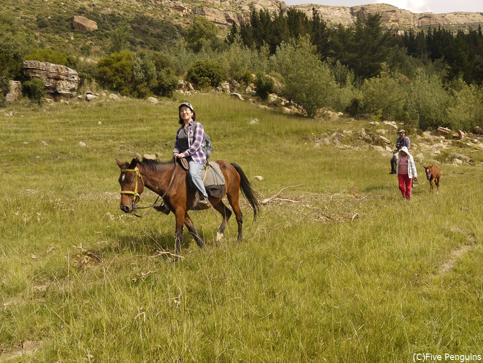 モリジャ村で乗馬体験