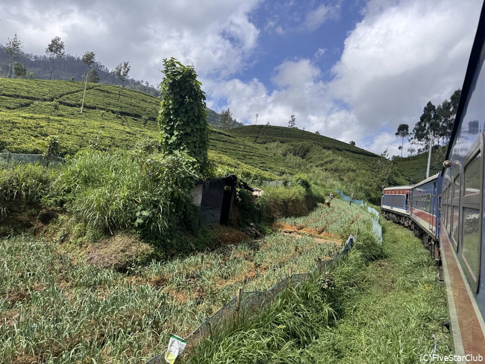 緑に包まれてゆく、癒しの鉄道時間