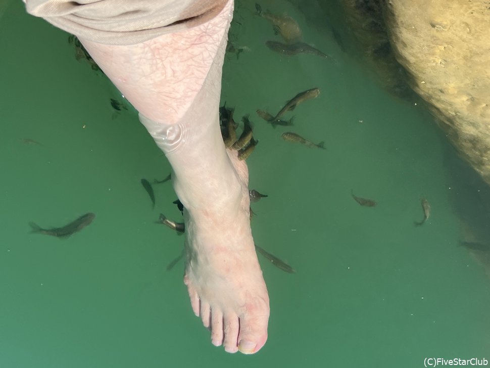 小魚が足をついばみに集まる<ワディ・バニ・ハリッド>