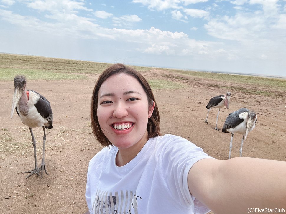 ランチボックスを狙ってアフリカンハゲコウが…!<マサイマラ動物保護区>