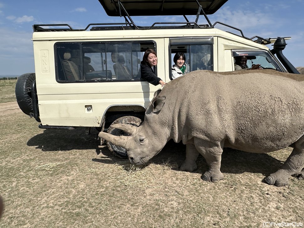 NORTHERN WHITE RHINOSと触れ合う<オルペジェタ動物保護区>