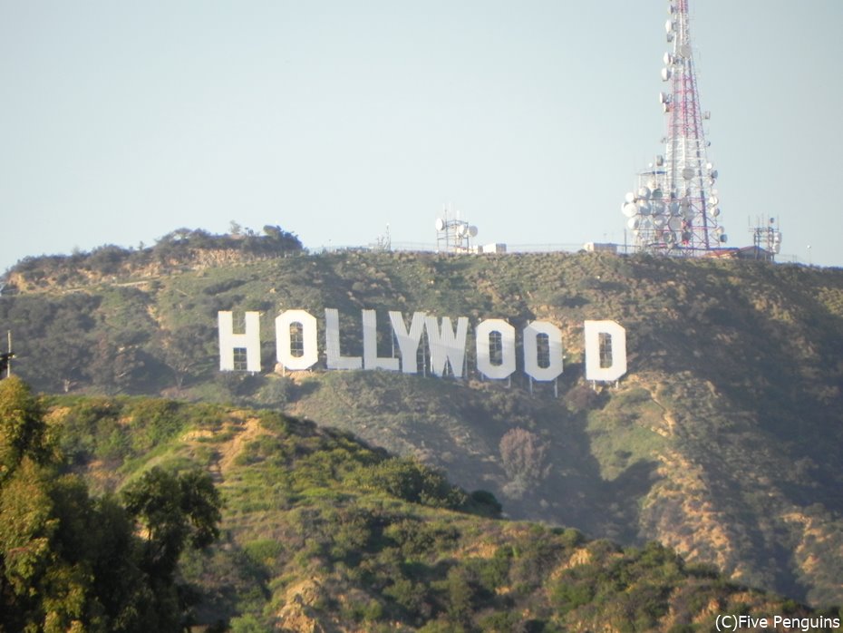 一度は生で見てみたい！HOLLYWOOD