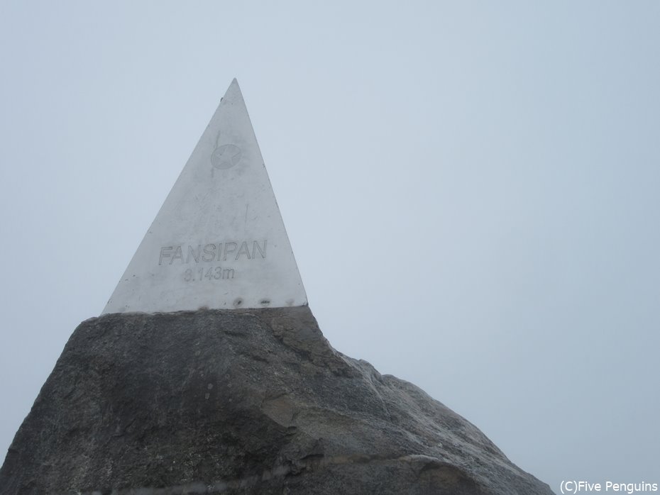 ファンシーパン山山頂(3,143m)!真っ白です!笑