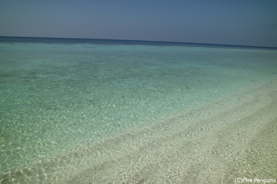 驚くほど透明な海