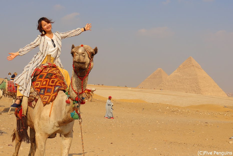 ピラミッドのパノラマポイントでラクダに乗ることもできますよ。
