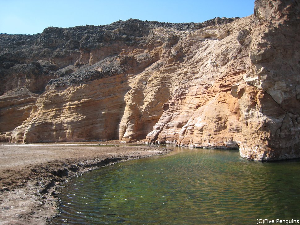 アッサル塩湖近くの温泉。源泉は80℃もある