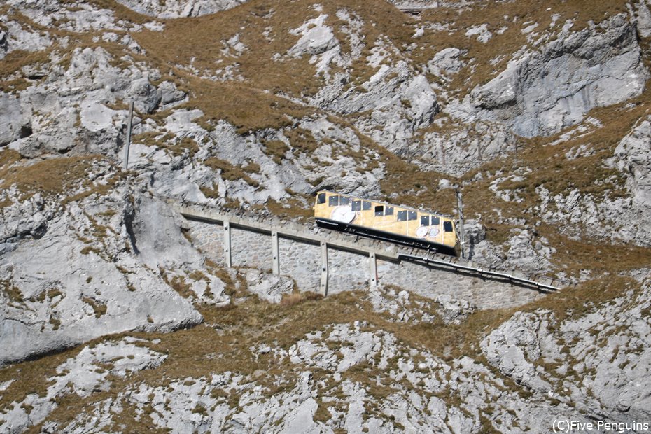 世界一急勾配の斜面を登る鉄道としても知られています。