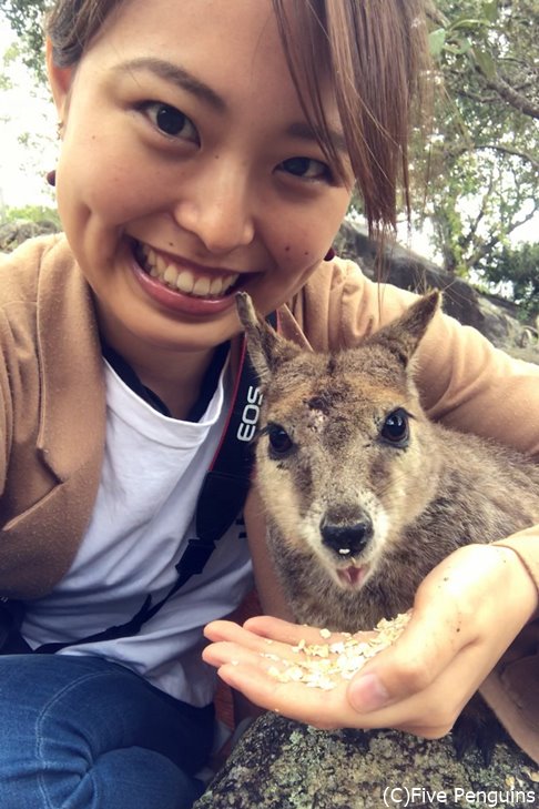 世界一幸せな動物、ワラビーとセルフィー♪