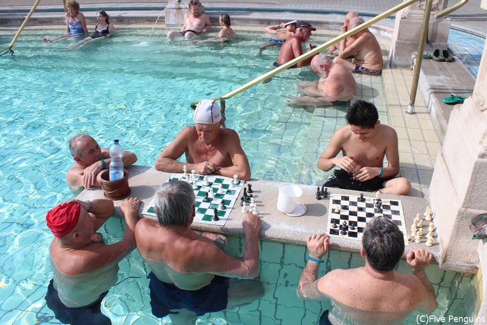 温泉でチェスを楽しむオジサマたち