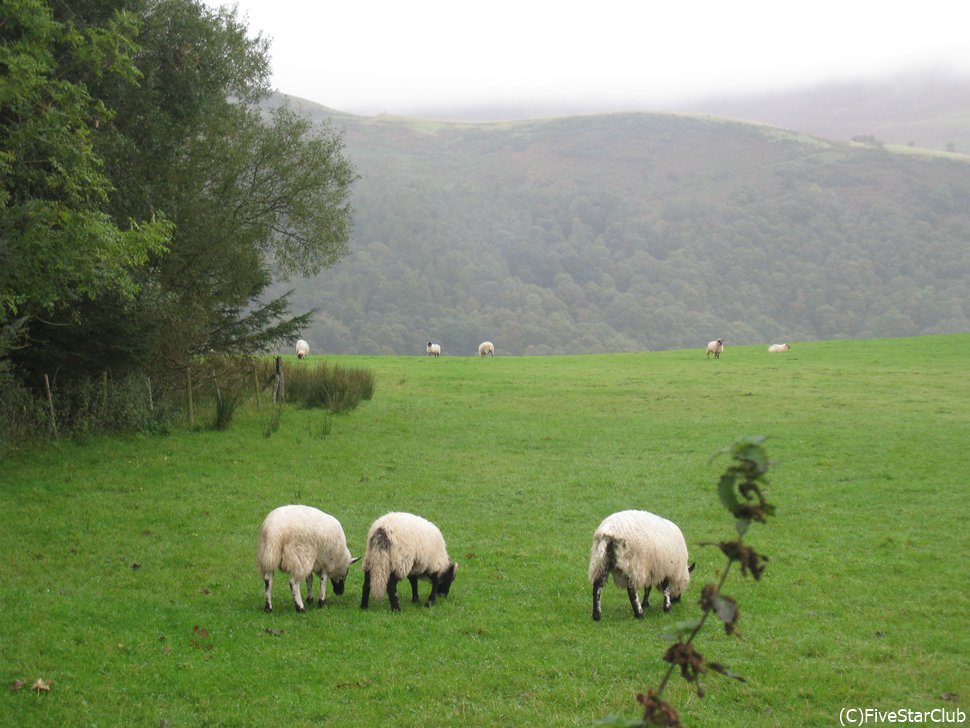 自然が広がる静かなケズウィック