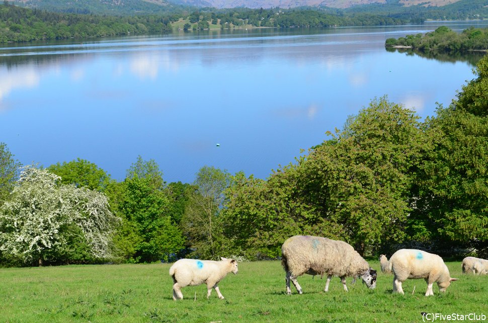 クイーンアデレーズヒルからウィンダミア湖を一望