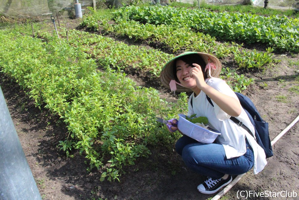 オーガニック農園でまずは野菜の収穫から!