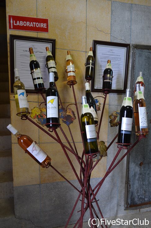 Domaine du Val d'Arganのワイン達