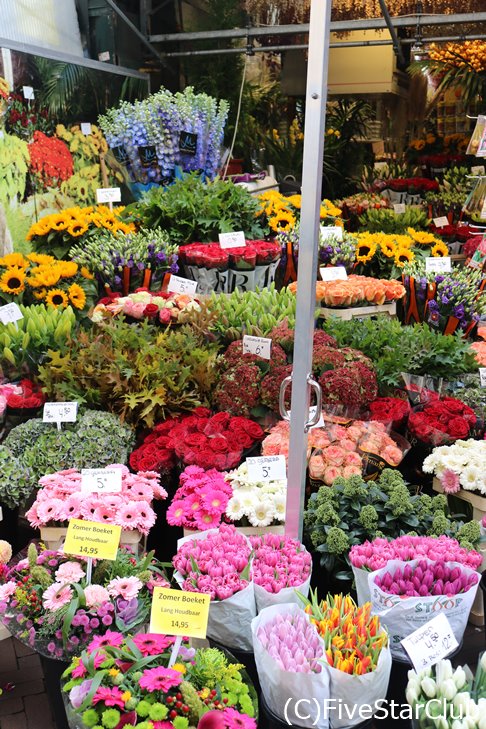 眺めているだけでも楽しい気分になるシンゲルの花市