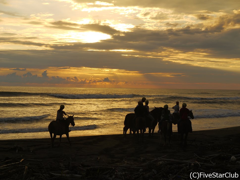 マヌエル・アントニオ国立公園では乗馬ツアーも人気