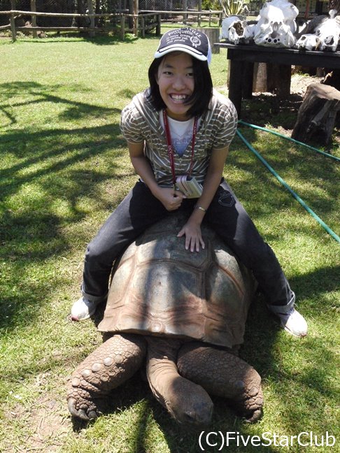 ゾウガメのスピーディー君と遊ぶ＜ケニア山国立公園＞