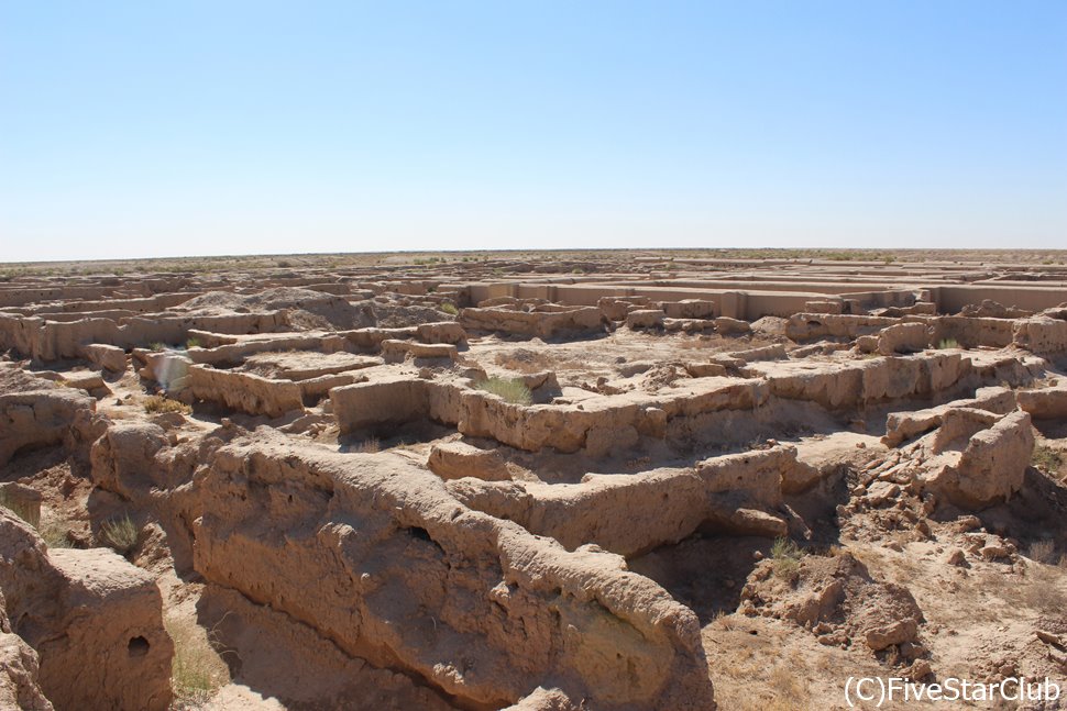 青銅器時代の遺跡マルグッシュ（トルクメニスタン）