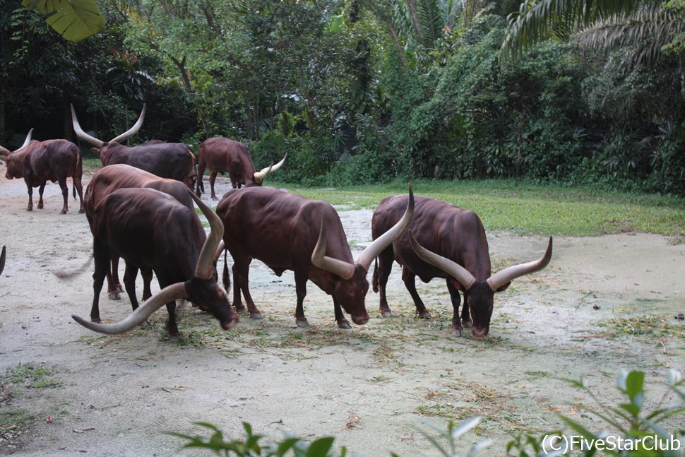 シンガポールで自然体の動物達に会える