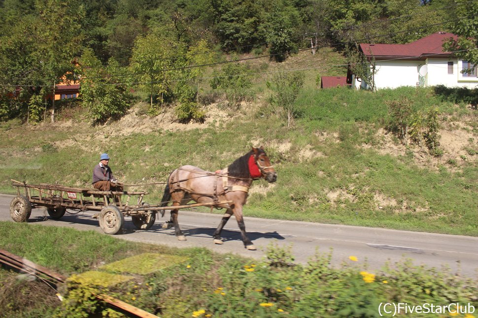 馬車が走るスチャバ郊外の田舎の風景