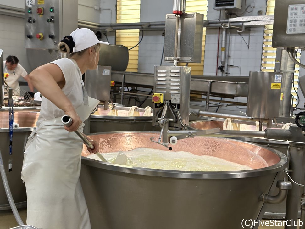パルミジャーノ・レッジャーノのチーズ工場見学