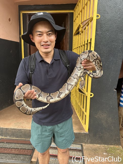 巨大なニシキヘビを祀る パイソン寺院にて