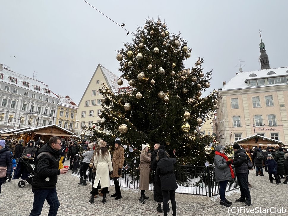 タリン旧市街　ラエコヤ広場の巨大クリスマスツリー