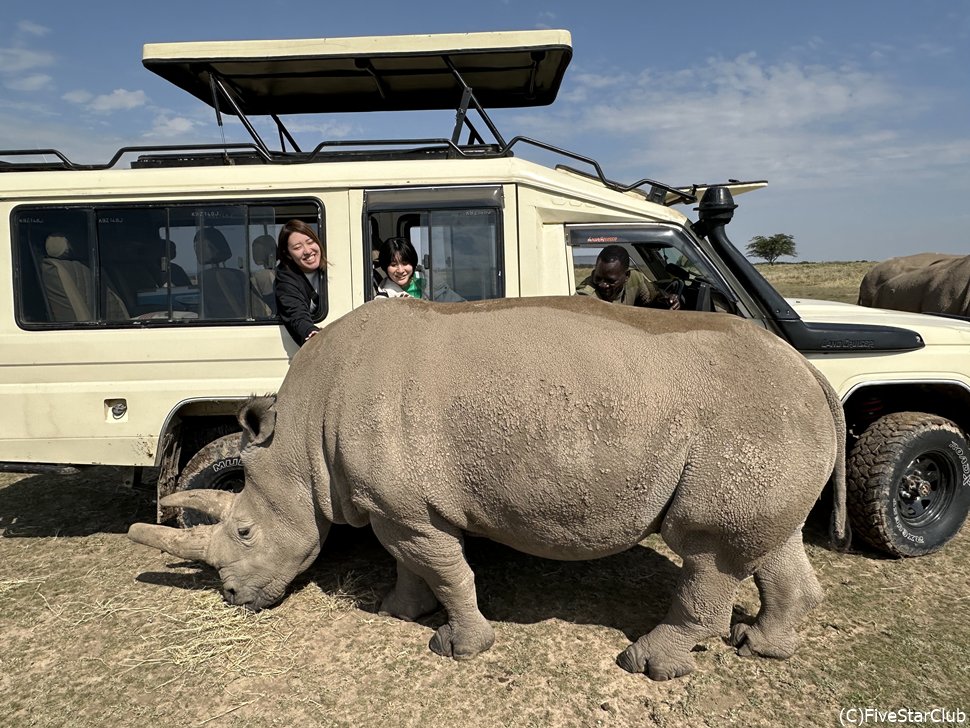 NORTHERN WHITE RHINOSと触れ合う<オルペジェタ動物保護区>