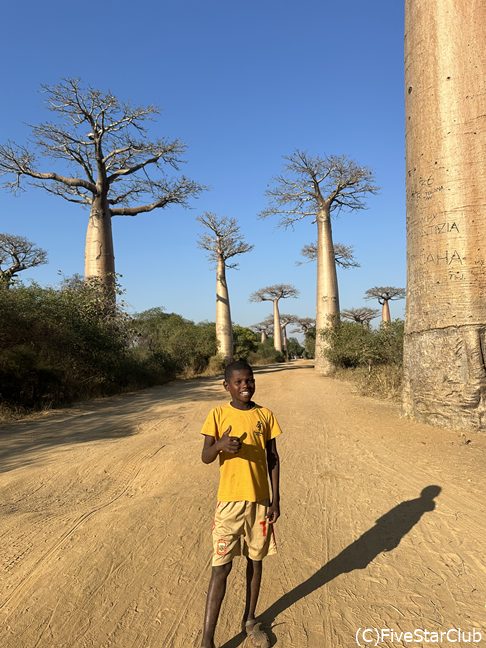 バオバブの並木道＜モロンダバ＞