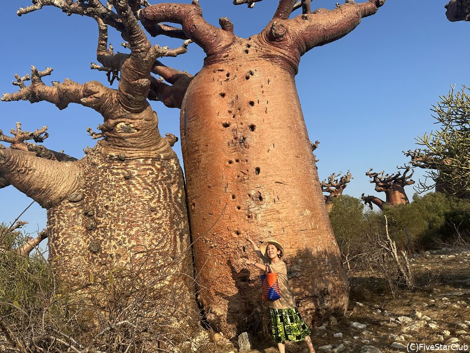 左のタトゥーバオバブは自然にできた模様。ちょっと気持ち悪い