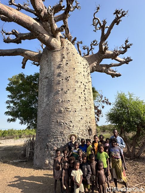 村の神聖なバオバブ＜アンダバドアカ＞