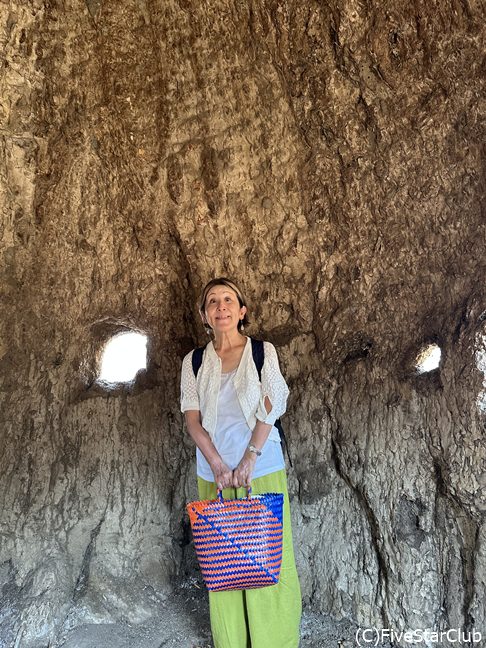 ハウスバオバブは中に入れる