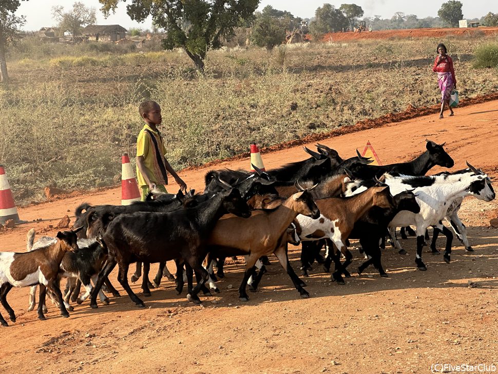 マダガスカルの風景<マンジャ>