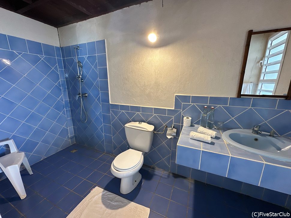 バスルームも清潔で虫が入ってこなかった!