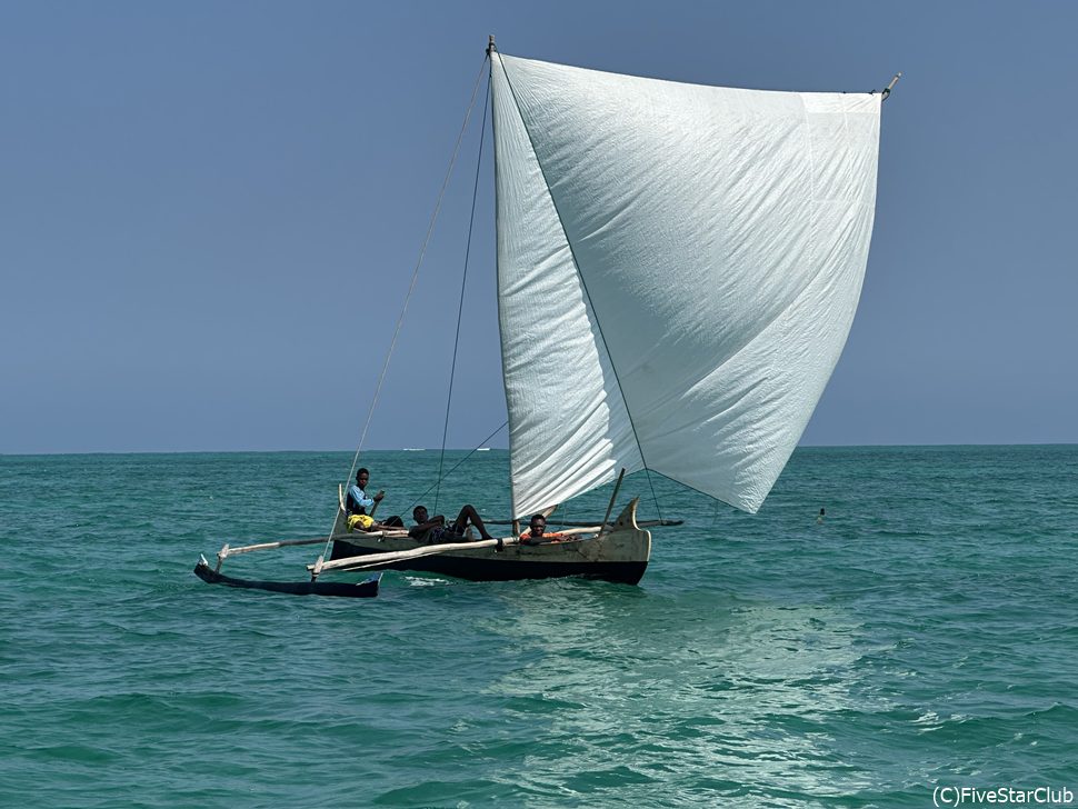 サラリーの海<サラリー>