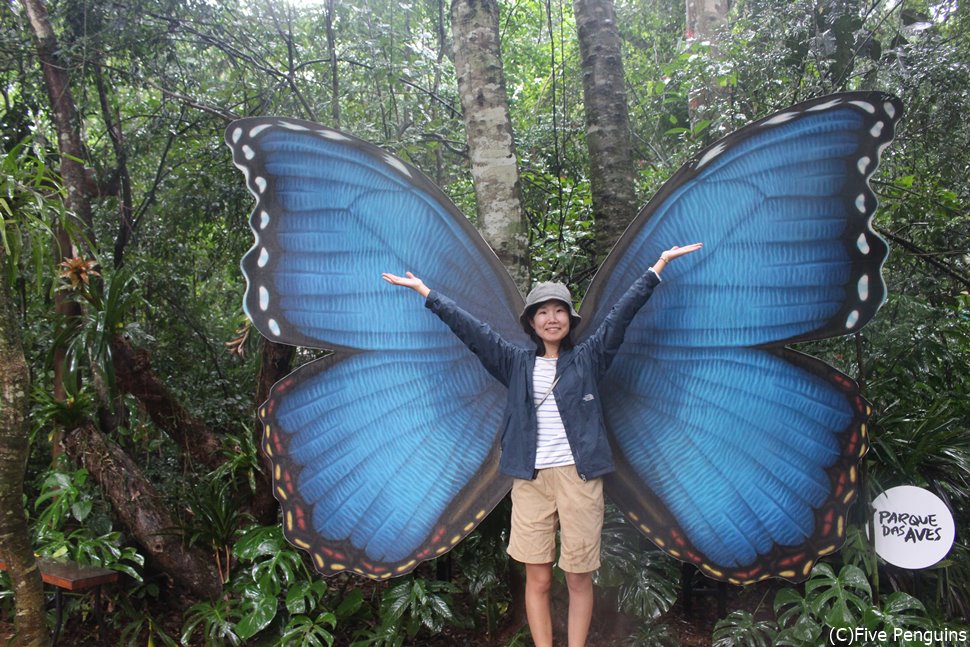 イグアス滝の入り口近くにあるバードパークにて蝶になってみる