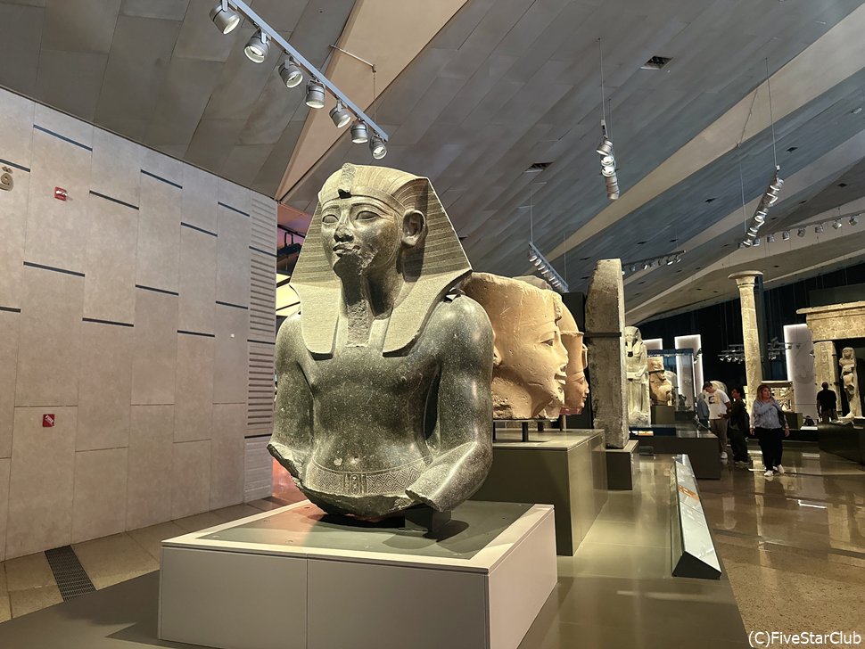 1日中見て回れるほどの展示数の多さ