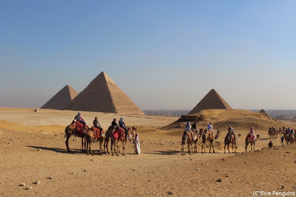 ギザの３大ピラミッドとラクダ