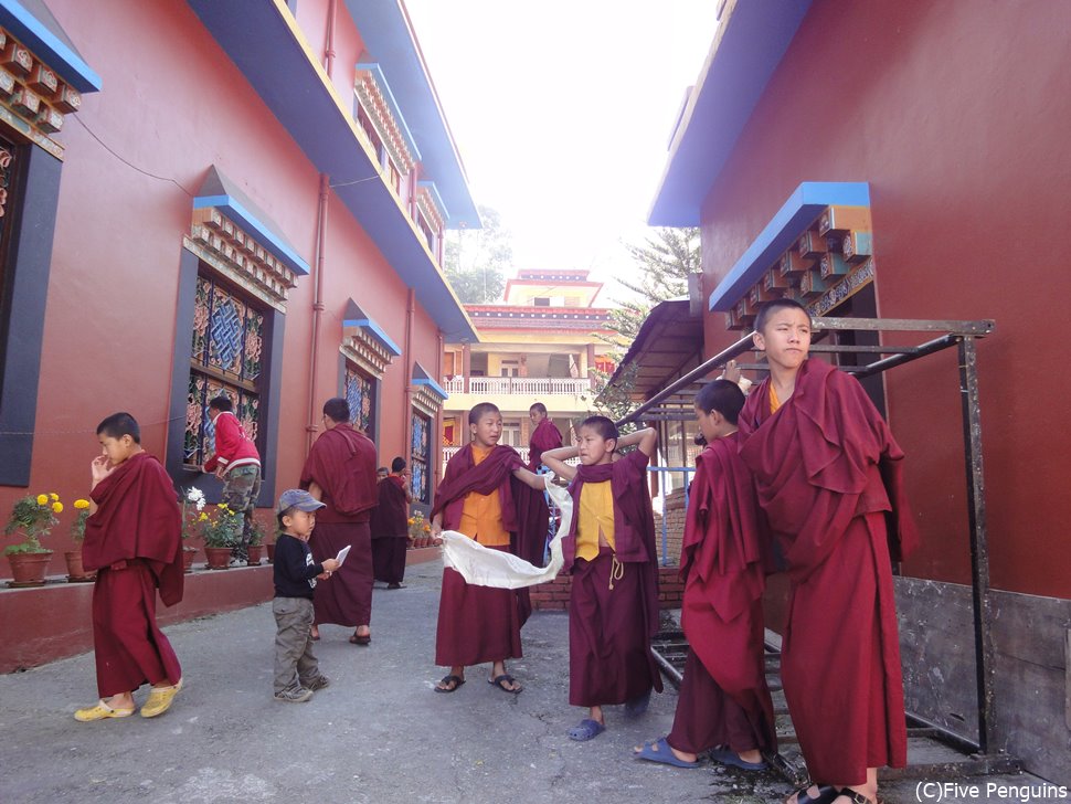 チベット難民キャンプの寺院にて＜ポカラ＞
