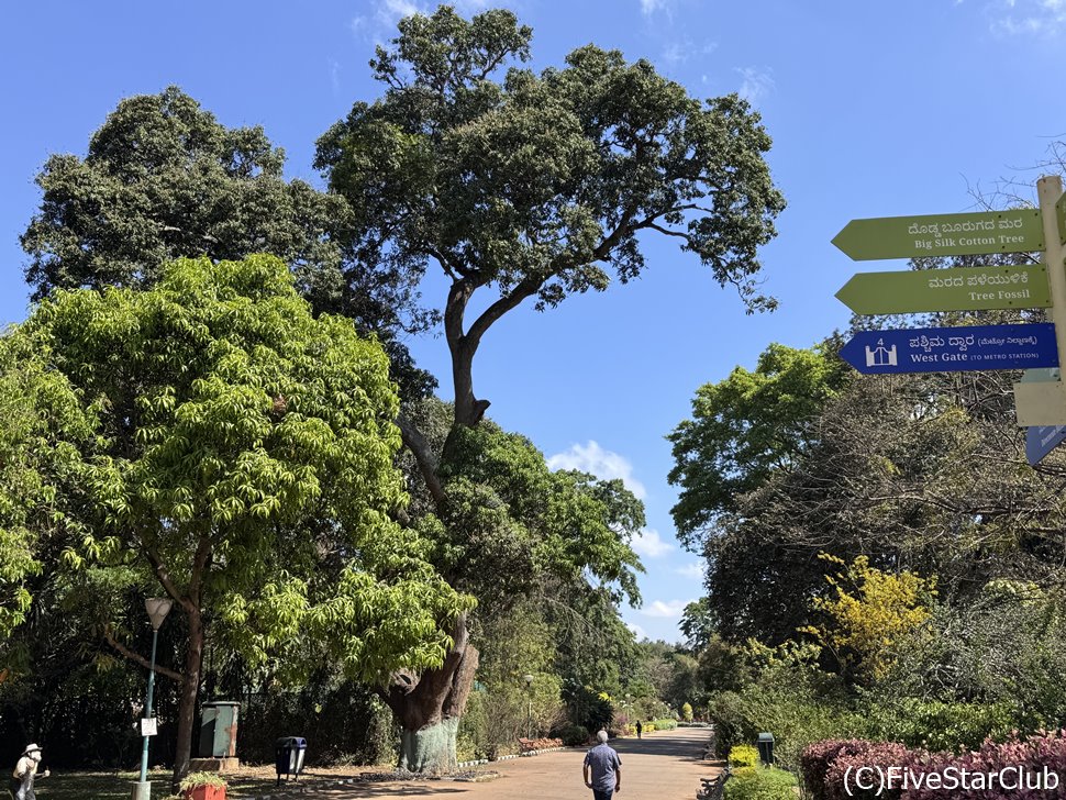 ベンガルールを代表する広大な植物園