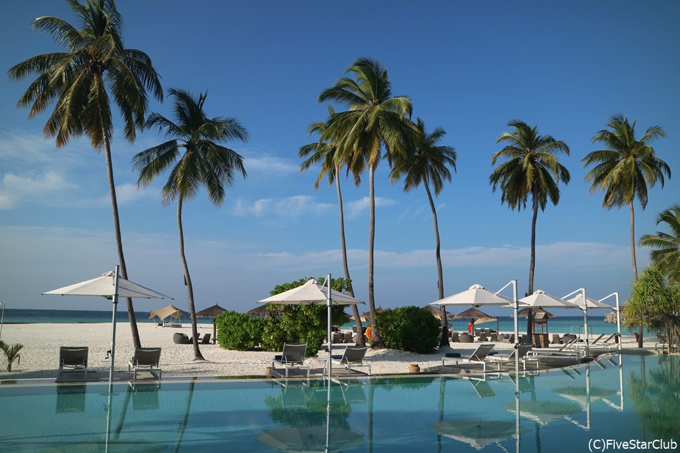 プールの水面に映る、ヤシの木のシルエット。もう日本に帰りたくない。切実に。