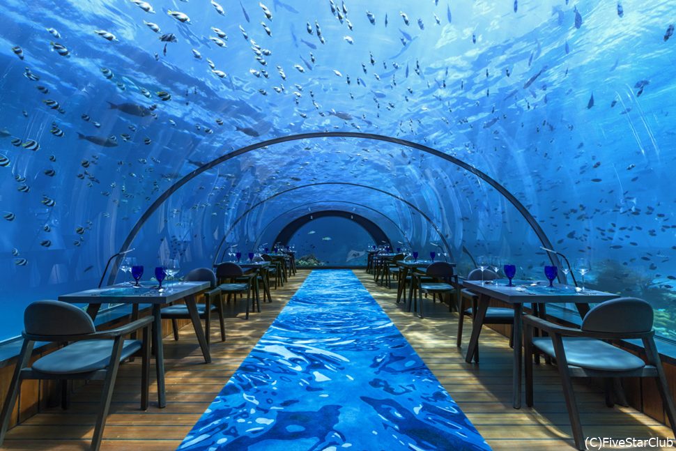 世界最大のオールガラスの水中レストラン「5.8アンダーシーレストラン」