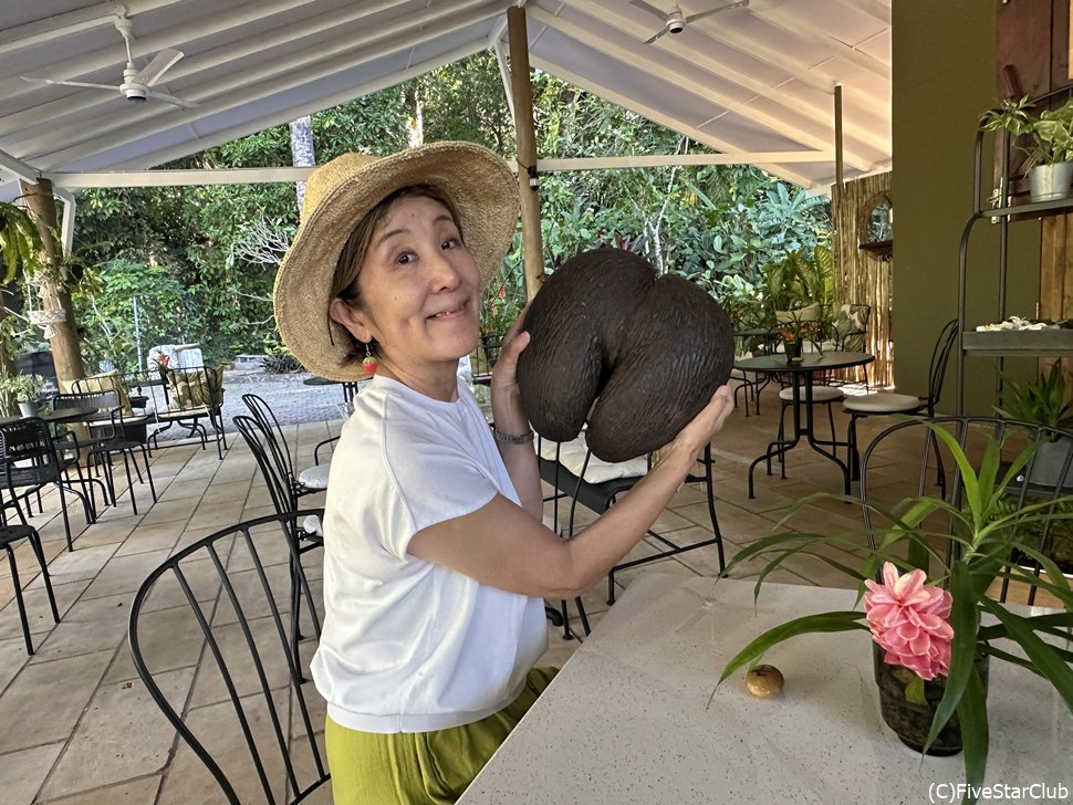 日帰りで植物園に遊びに行くのも楽しい
