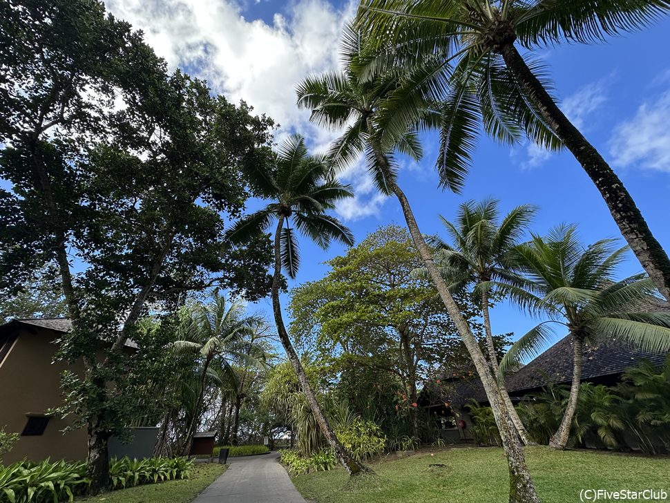 ホテル内の散歩も楽しい