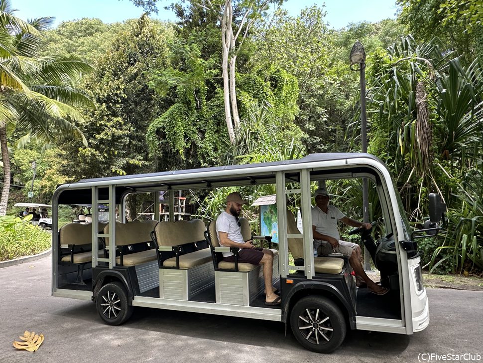 こんな大きいバギーから小さいバギーまで色々走っている