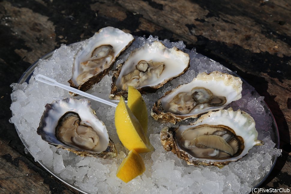 THE OYSTER SHED＜スカイ島＞