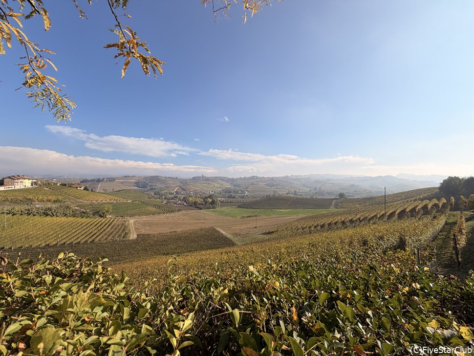 ブドウ畑の景観は世界文化遺産にも登録