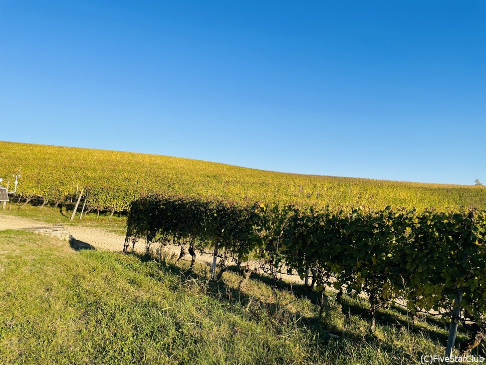 アルバはワインで有名なランゲ地方への拠点