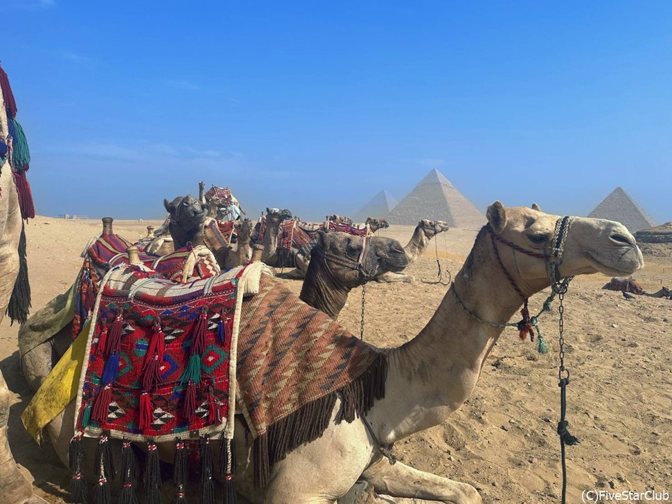 エジプトの思い出を振り返りつつ…やっぱりちらつく帰国の不安