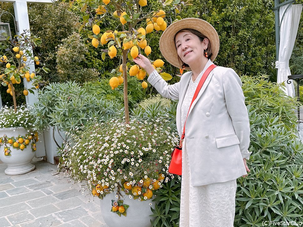 個人旅行ならオーベルジュでグルメのお食事も可能